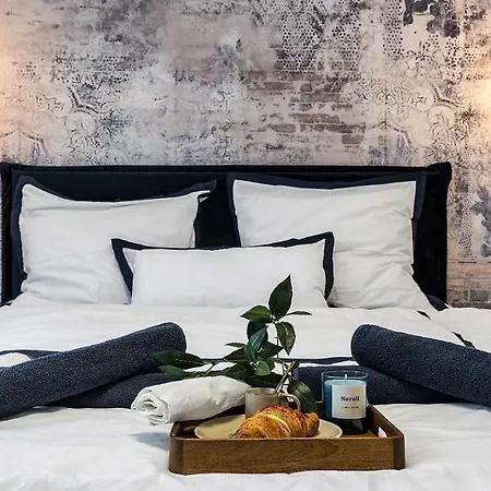 New Design & High Standard From 16th Century In Old Town-free Parking Apartment Bratislava